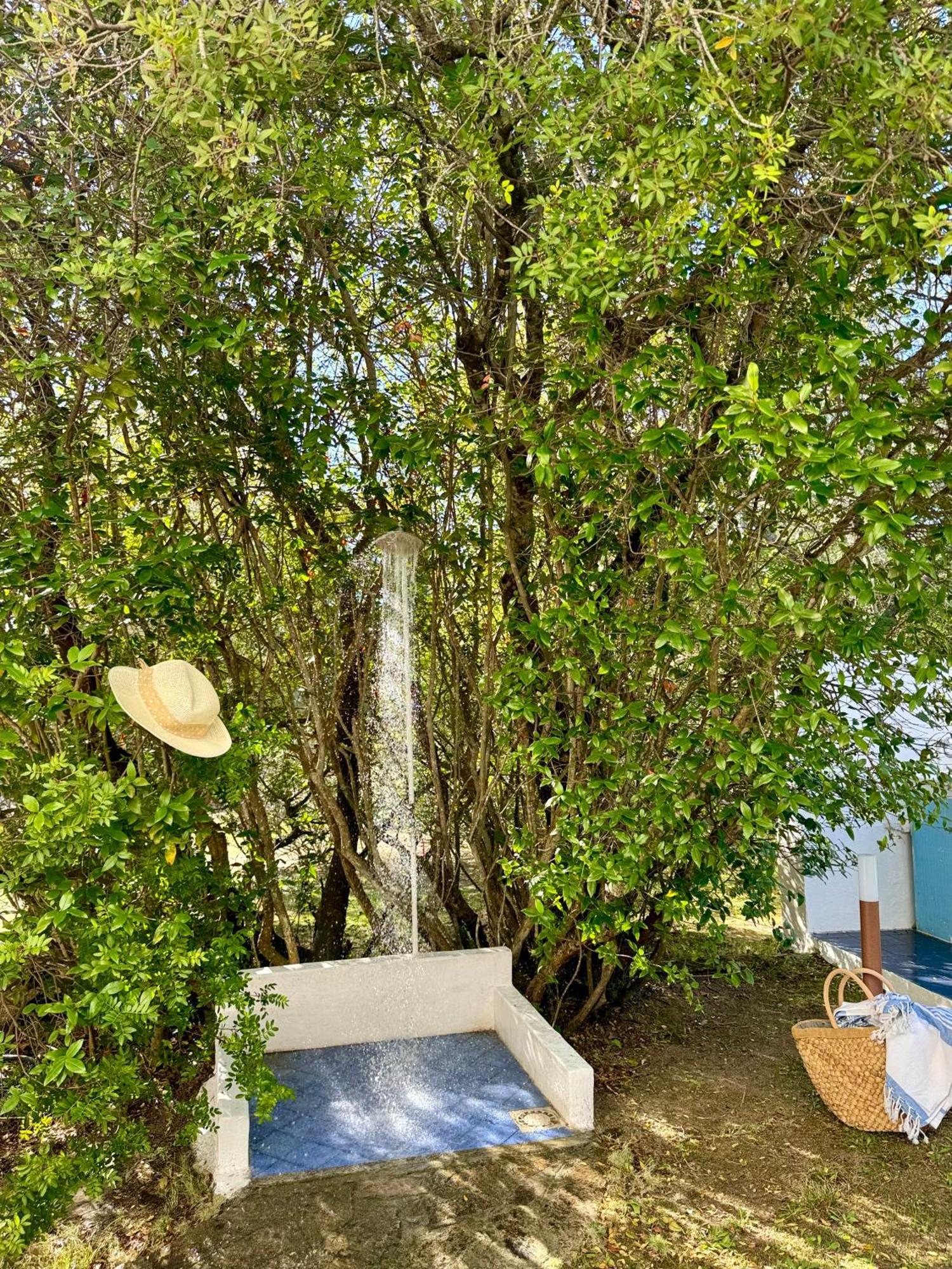 Garden Retreat - Homey Experience オルビア エクステリア 写真